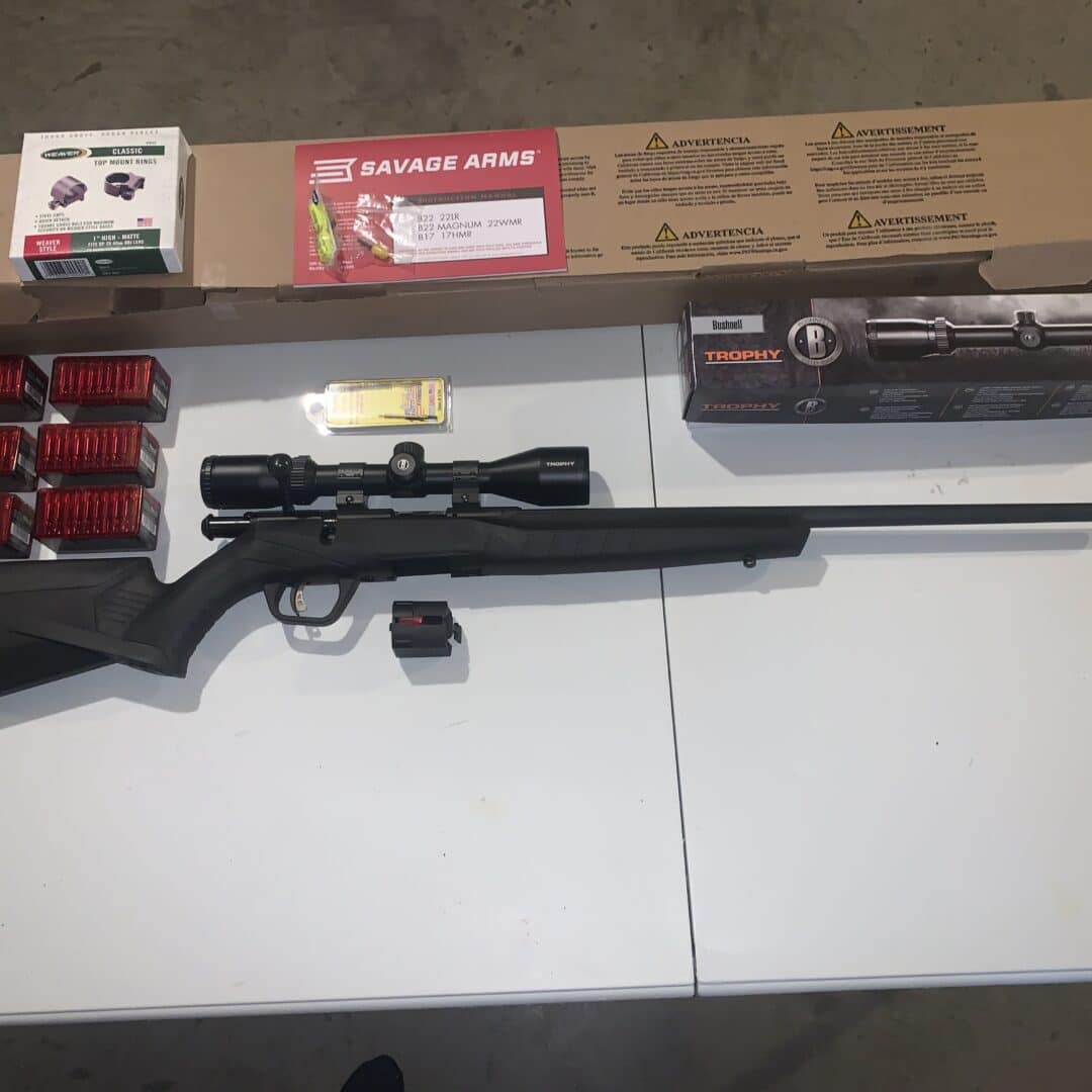 Savage 17 hmr