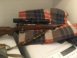 Remington model700 en 270 sent le telescope