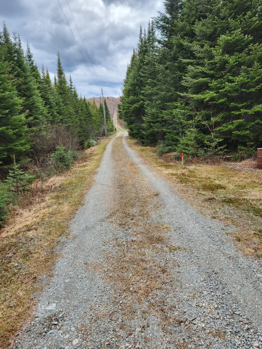 Terrain boisé zoné blanc à vendre St-Fabien de Panet