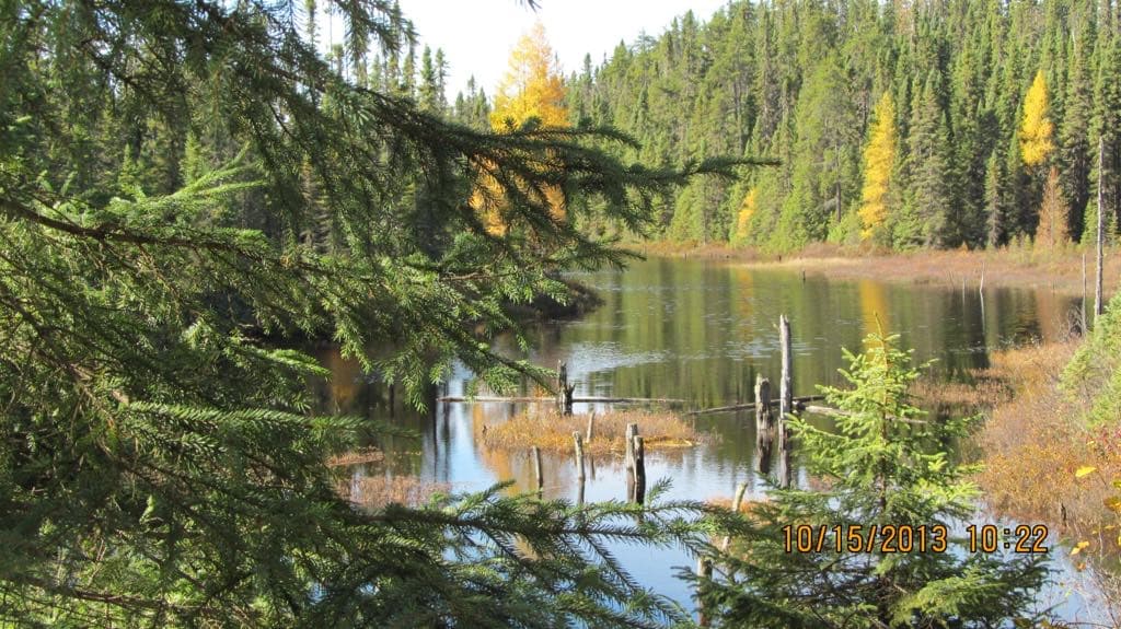 Chalet de chasse et pêche