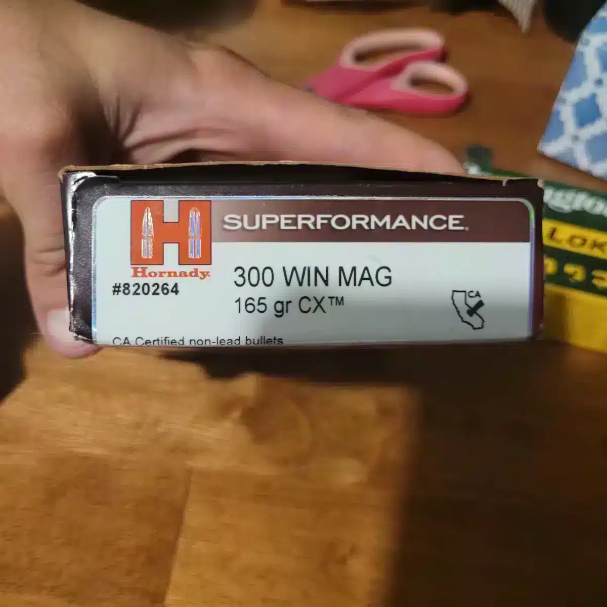 Munitions 300 win mag