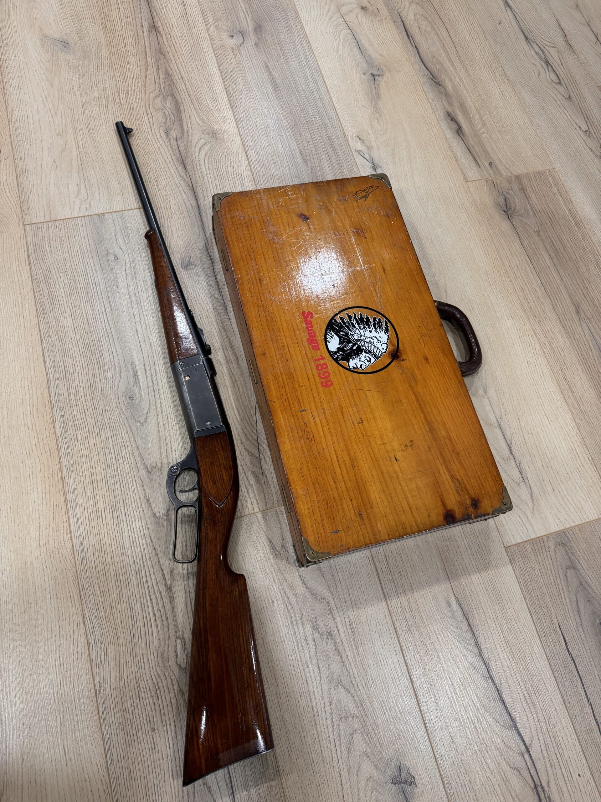 .22 high power savage