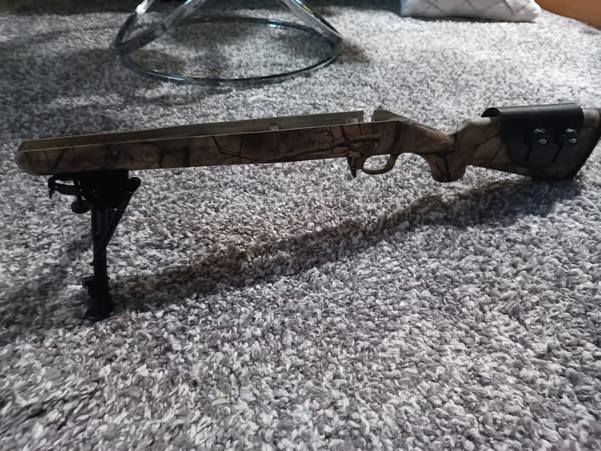 Ruger American Predator 6.5 creed more custom