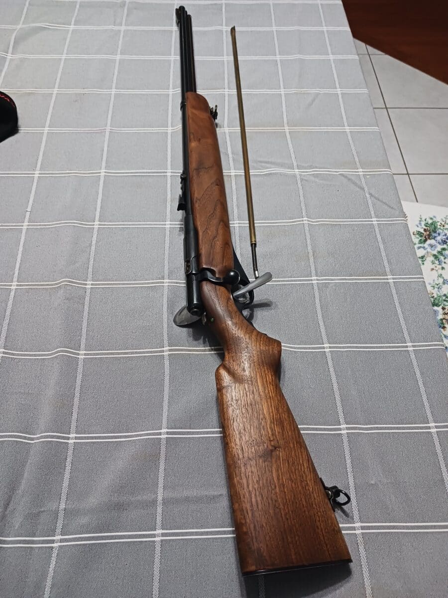 22 mossberg 46b