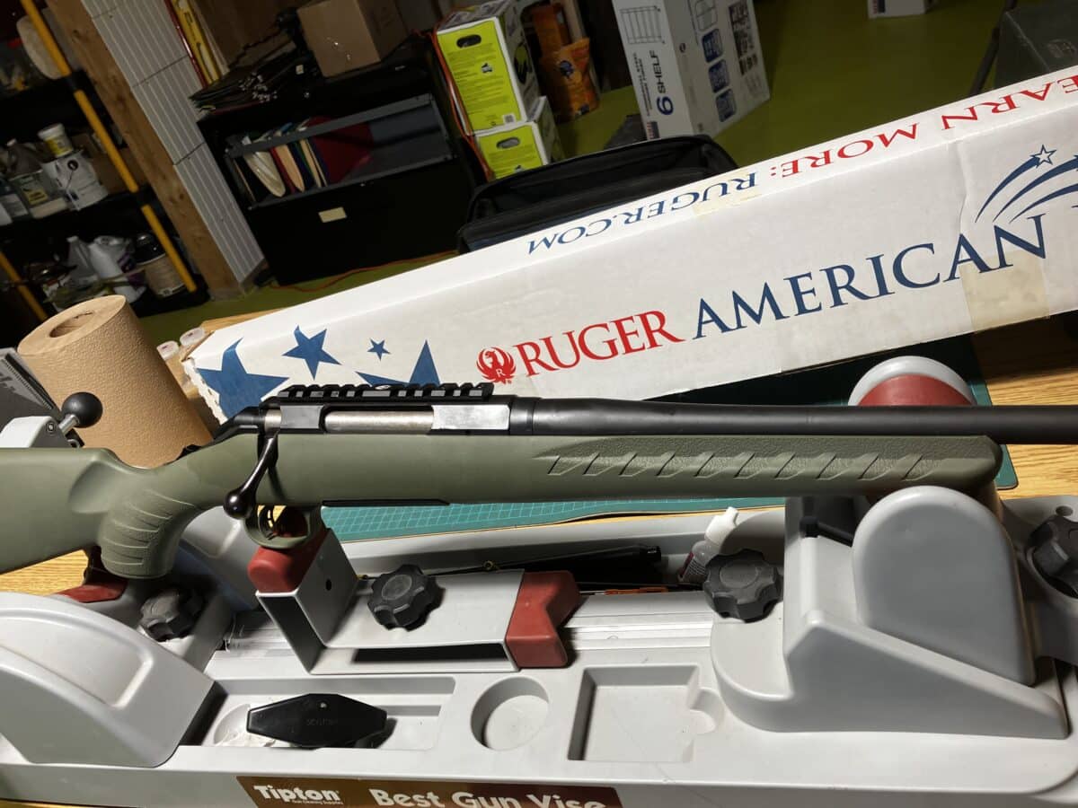 22-250 Ruger American Predator