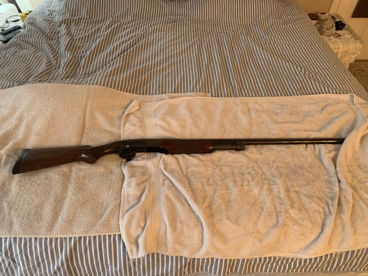 Browning 12 a pompe