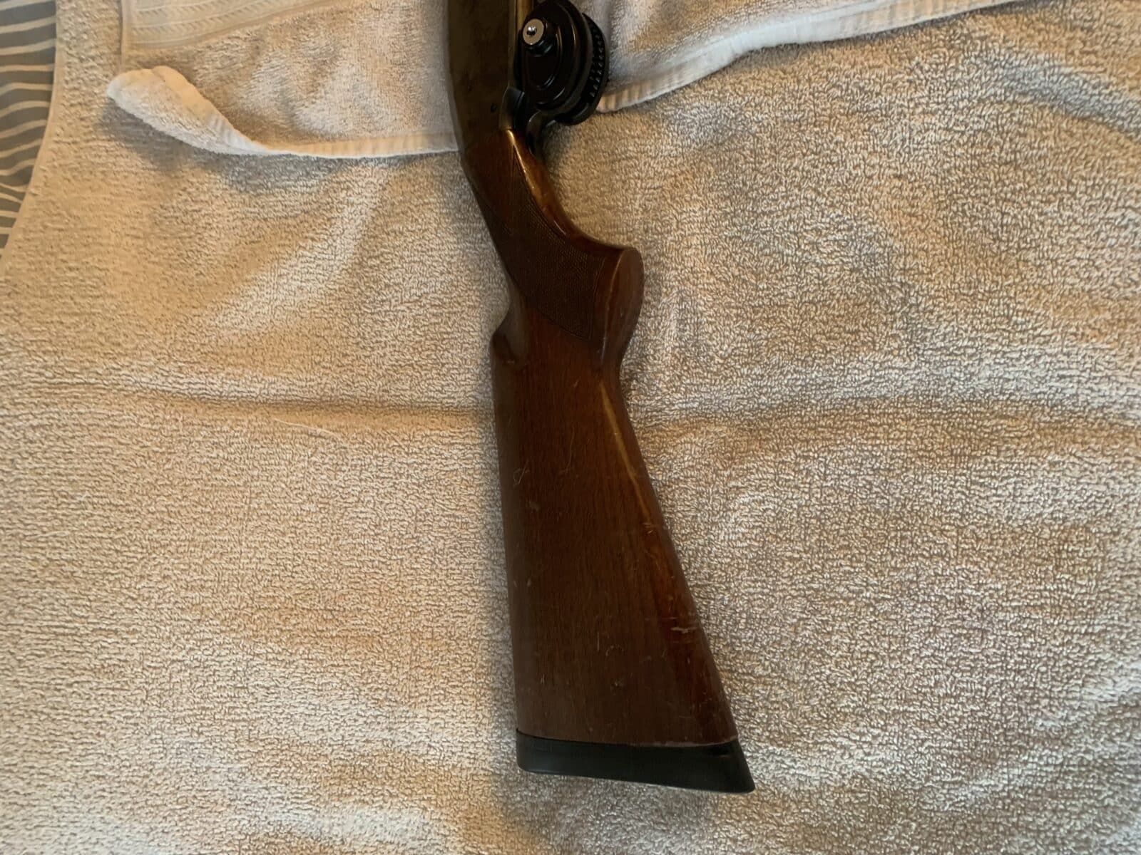 Browning 12 a pompe