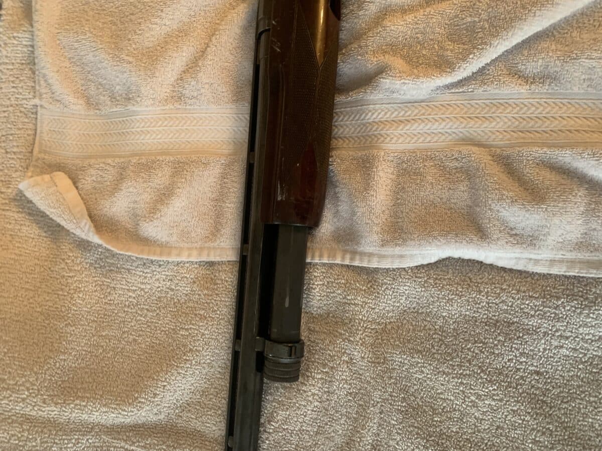 Browning 12 a pompe