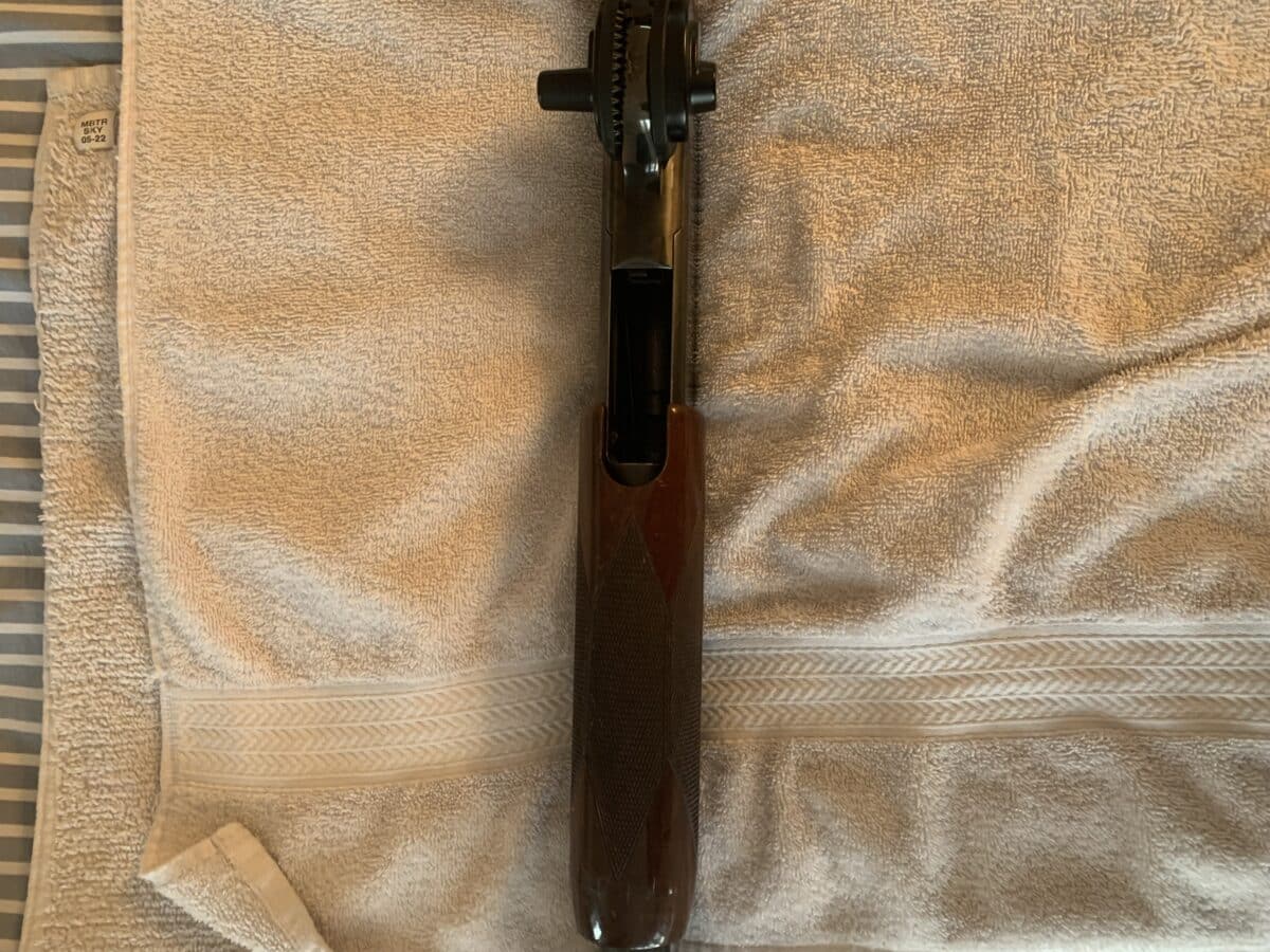 Browning 12 a pompe