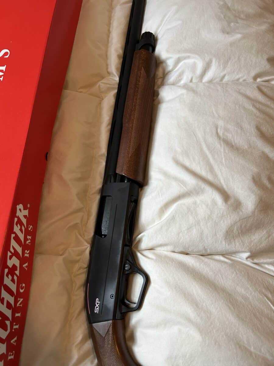 Winchester sxp field calibre 12