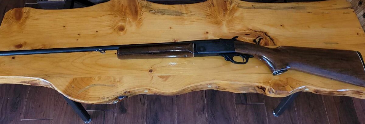 410 magnum Rémington