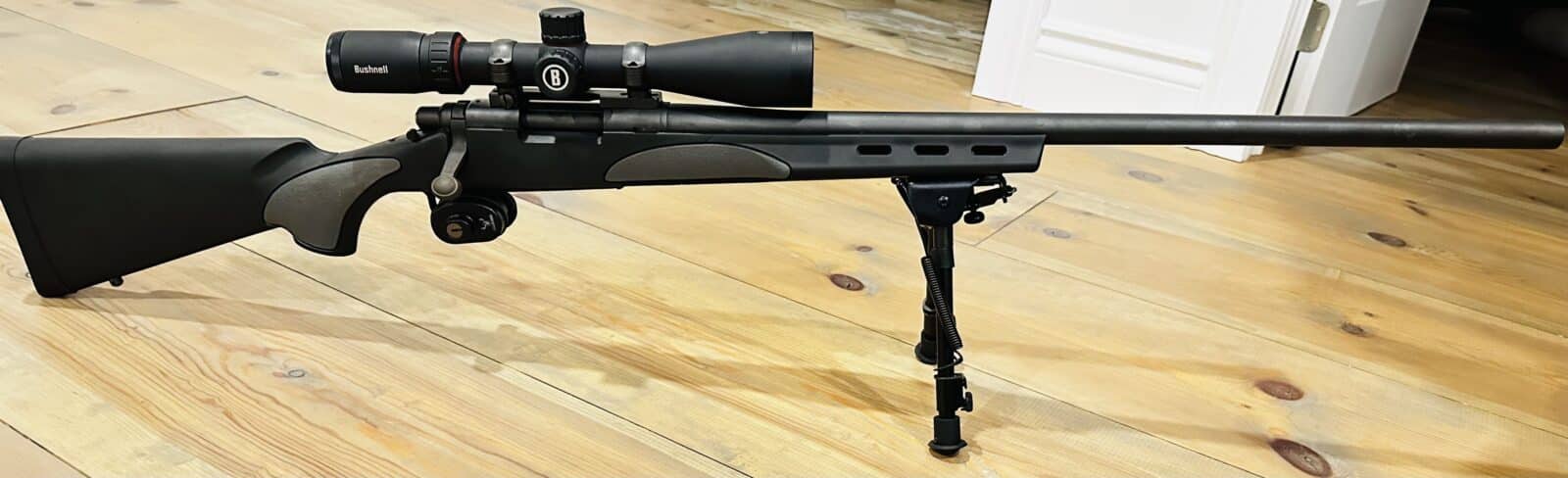 Carabine Remington 204 ruger