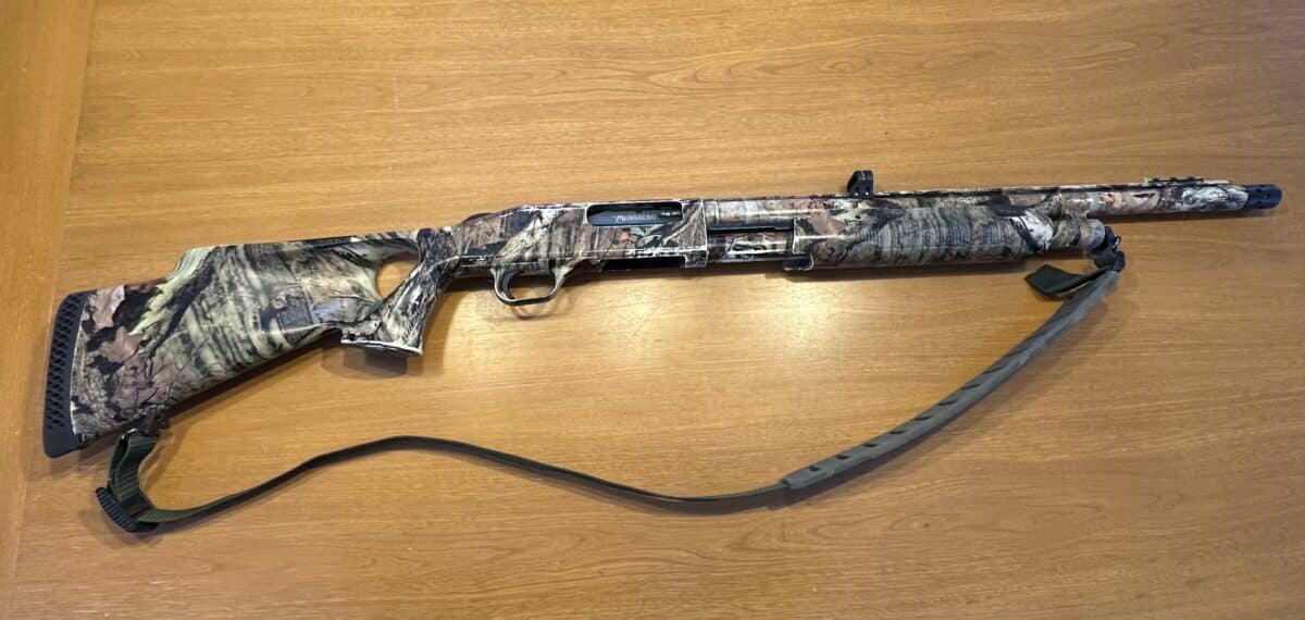 12 à pompe Mossberg pour dindon