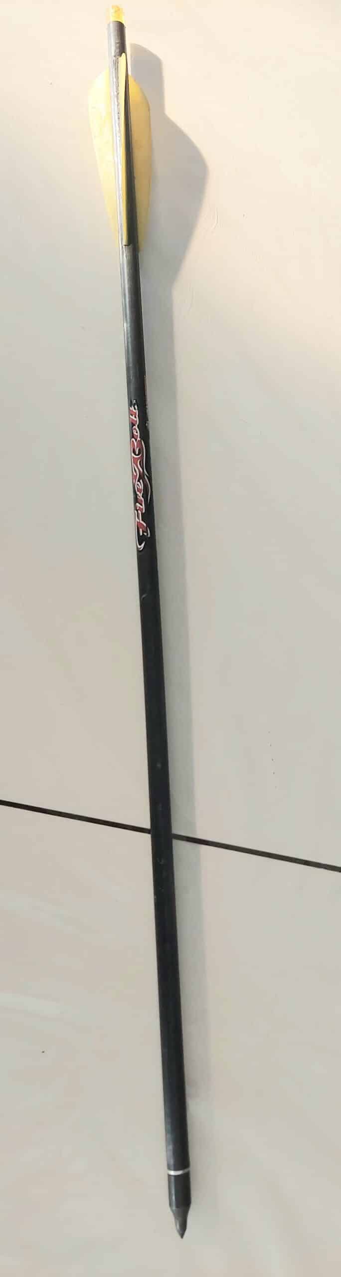 Arbalète excalibur