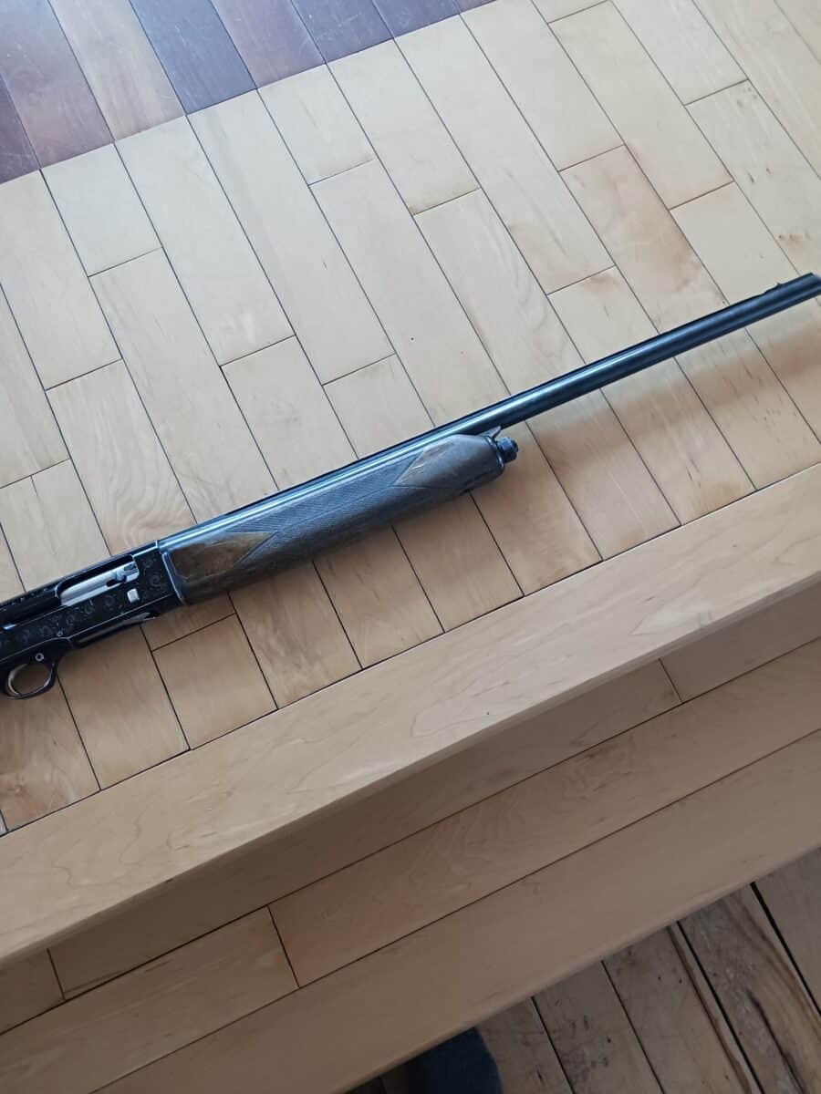 Fusil semi automatique Beretta