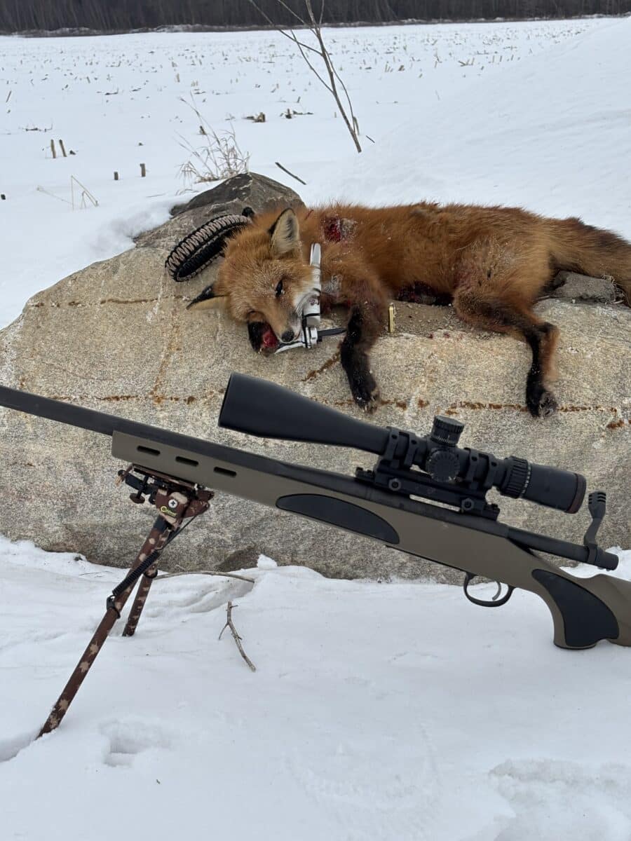 Remington 700 vtr 223