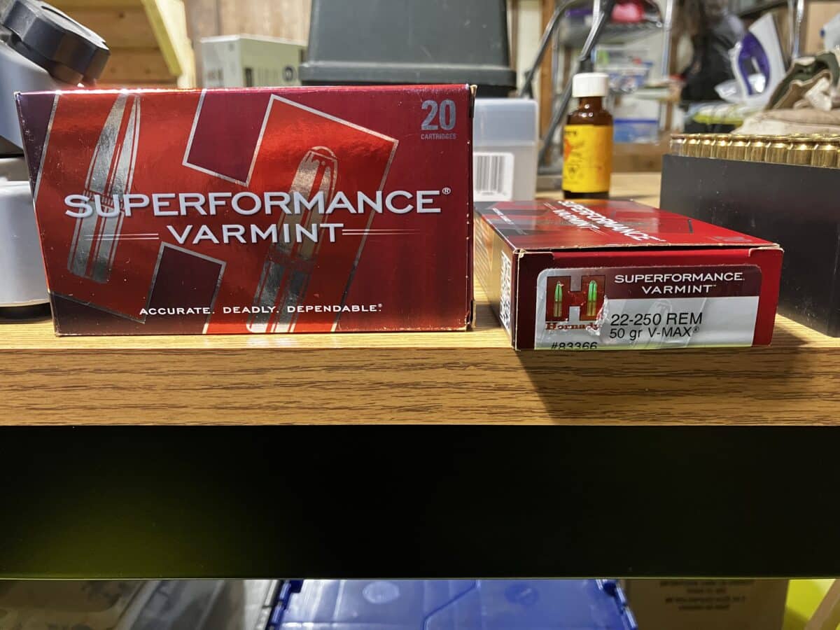 Hornady 22-250, 50 gr V-Max