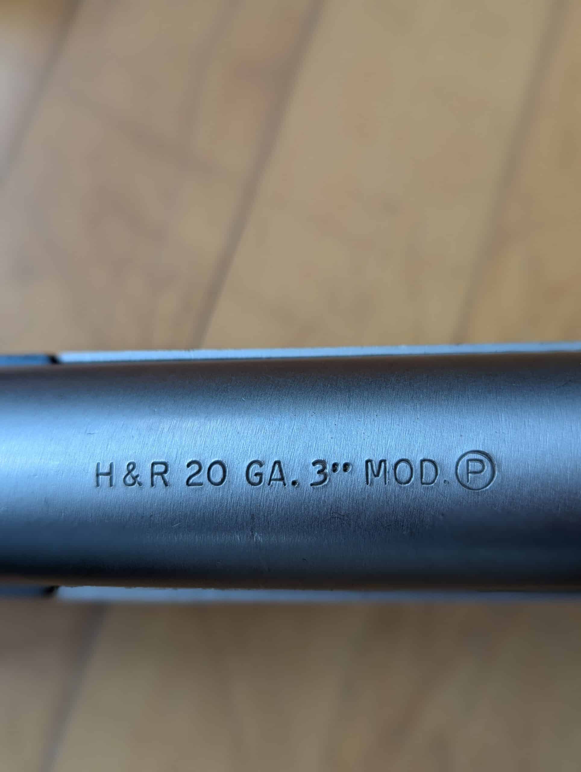 Fusil Harrison et Richardson calibre 20 et 30-30