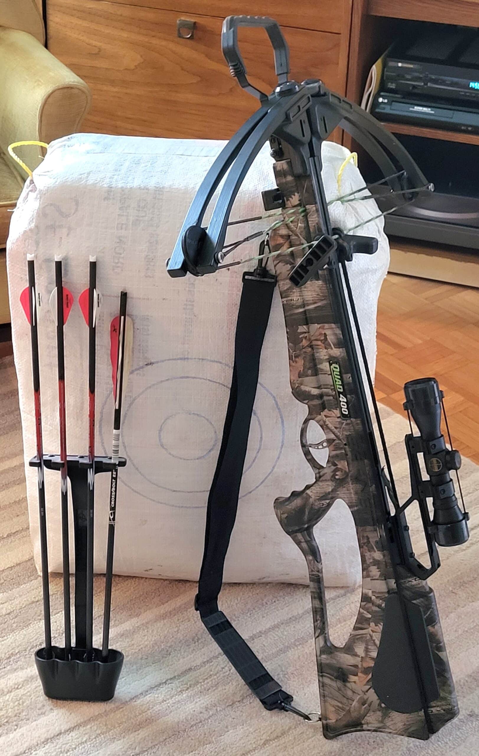chasse dindon et chevreuil