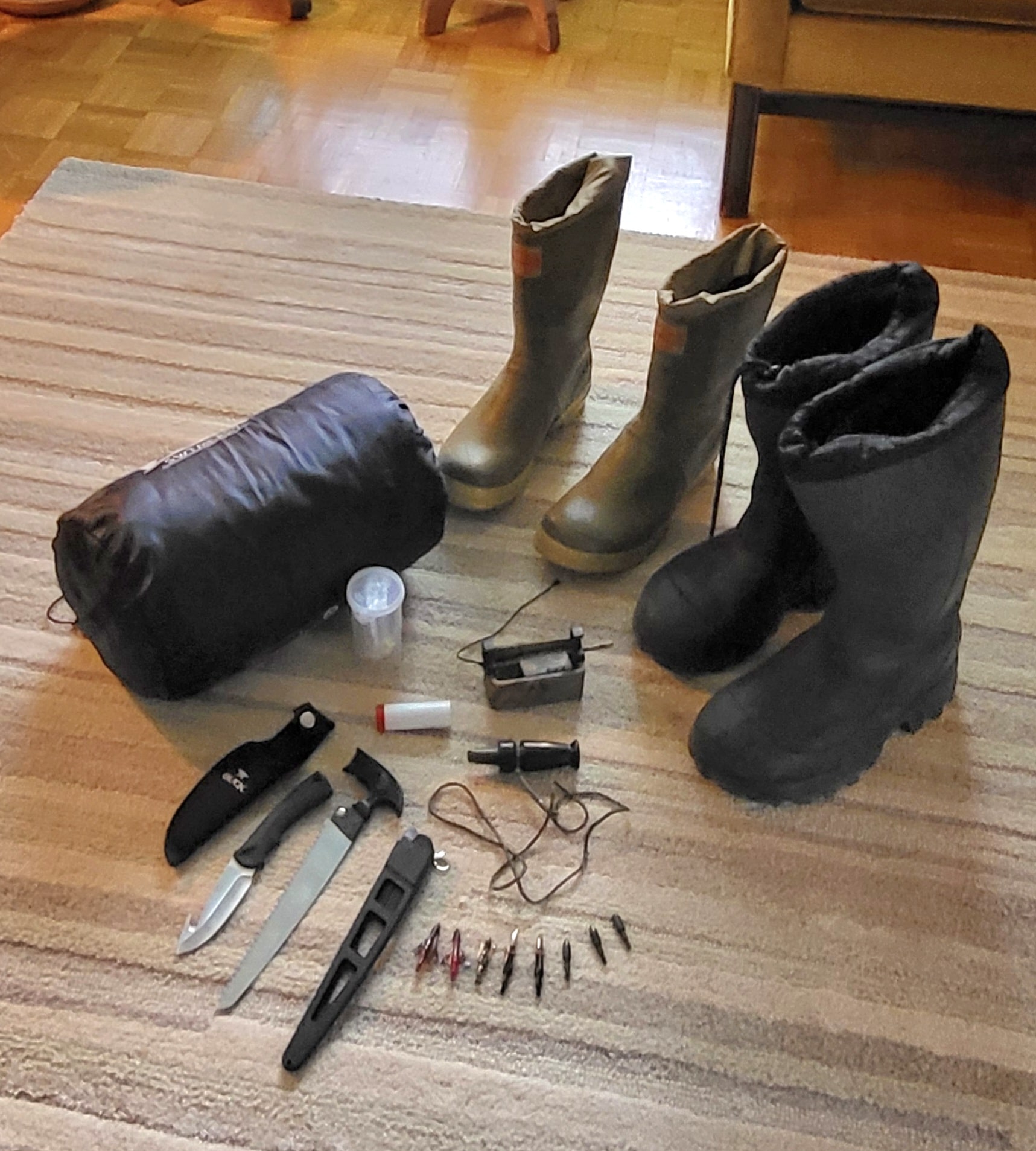 chasse dindon et chevreuil