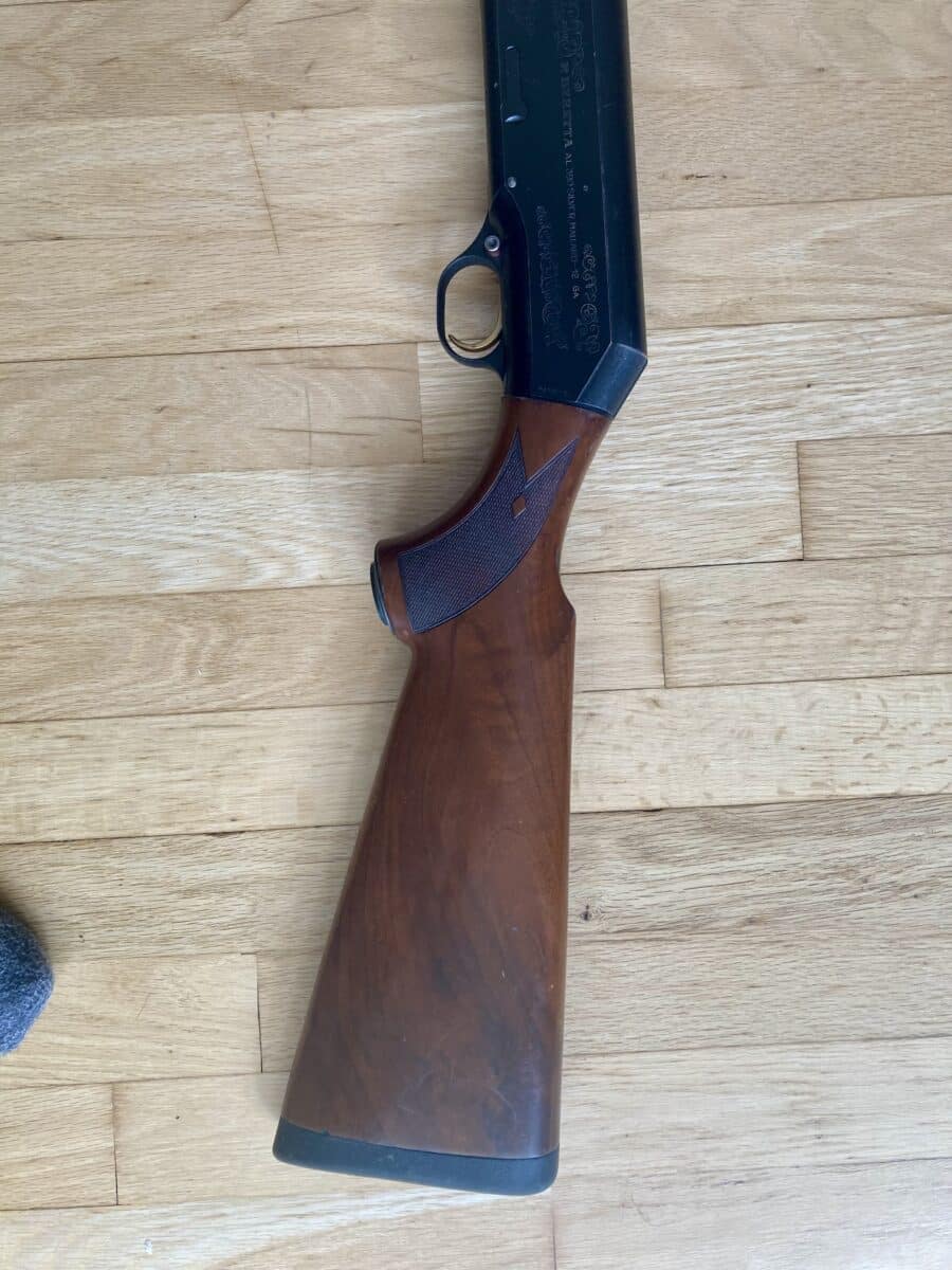 Beretta semi automatique ( AL 390 silver mallard )