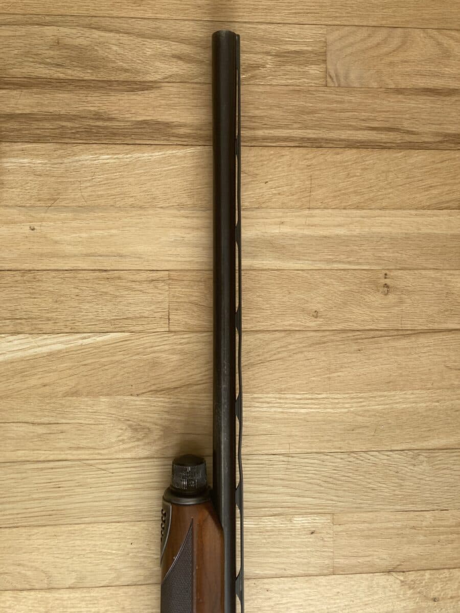 Beretta semi automatique ( AL 390 silver mallard )