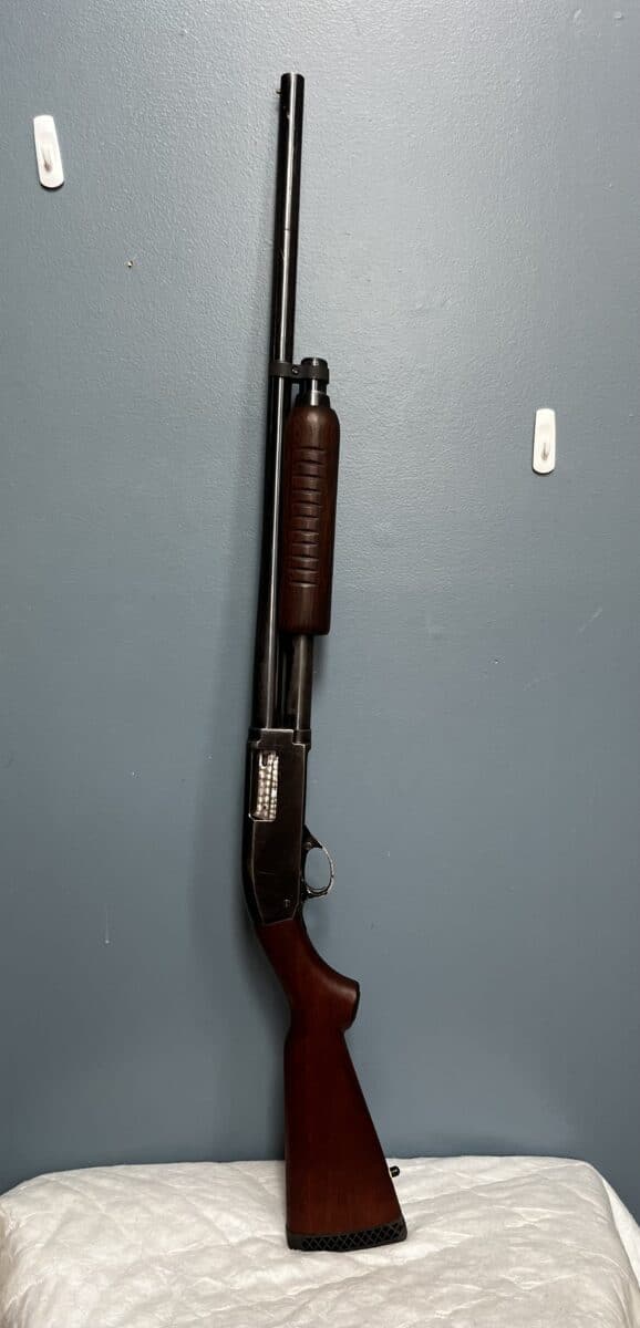 Fusil 12 Squires Bingham