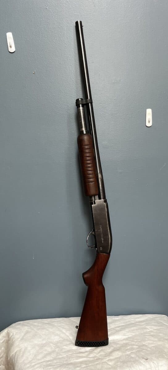 Fusil 12 Squires Bingham