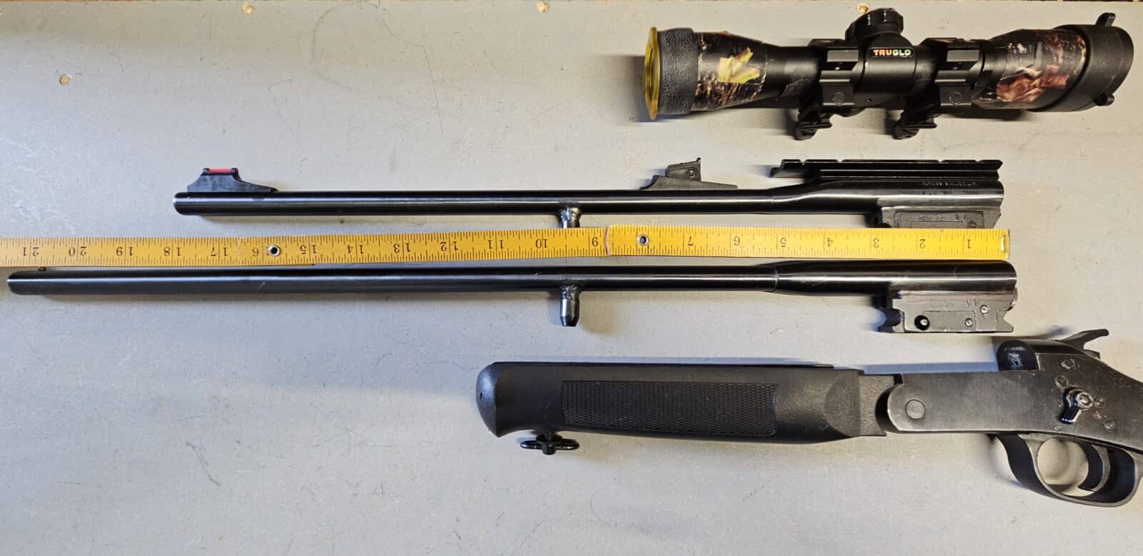 Combo .22/.410 Amadeo Rossi.