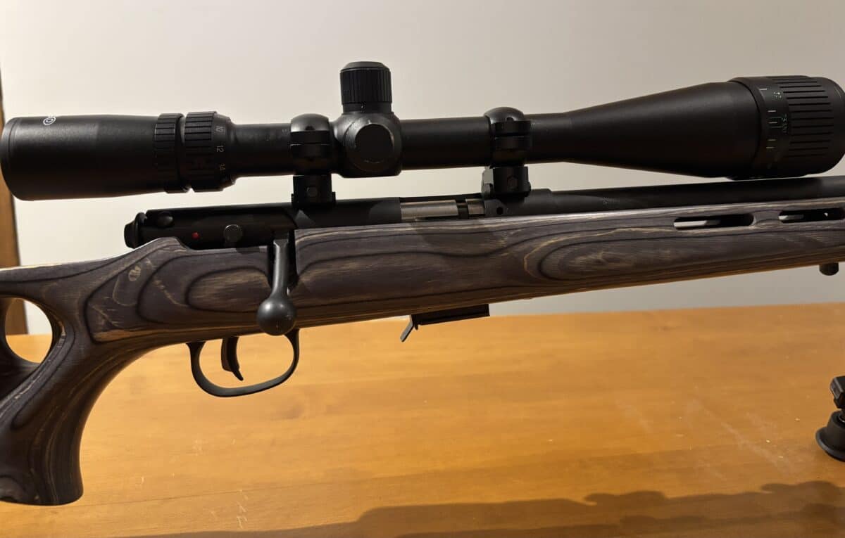 Savage 17 HMR 93r17 canon lourd laminer