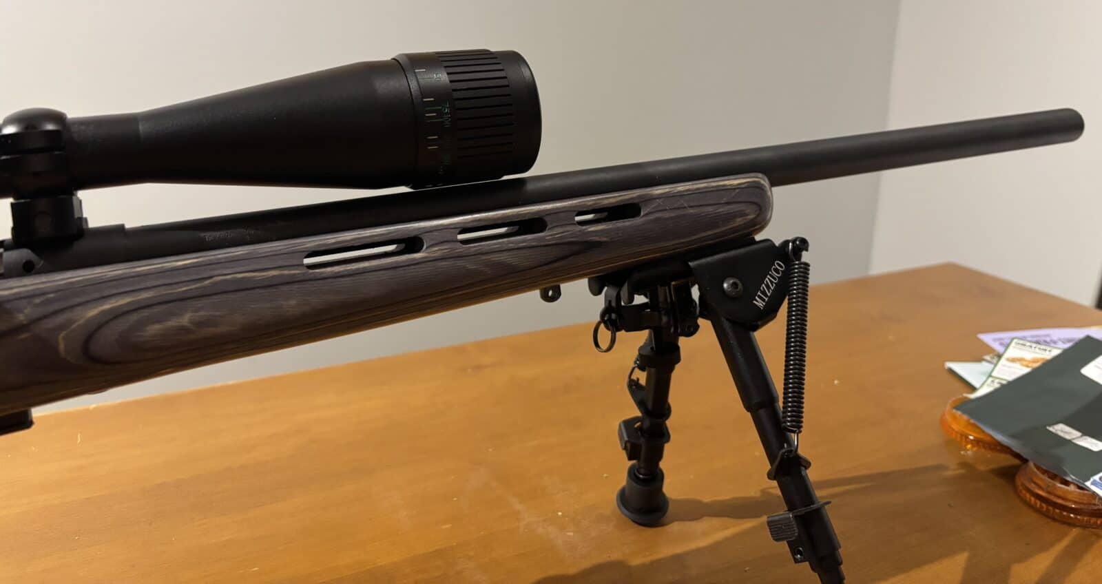 Savage 17 HMR 93r17 canon lourd laminer
