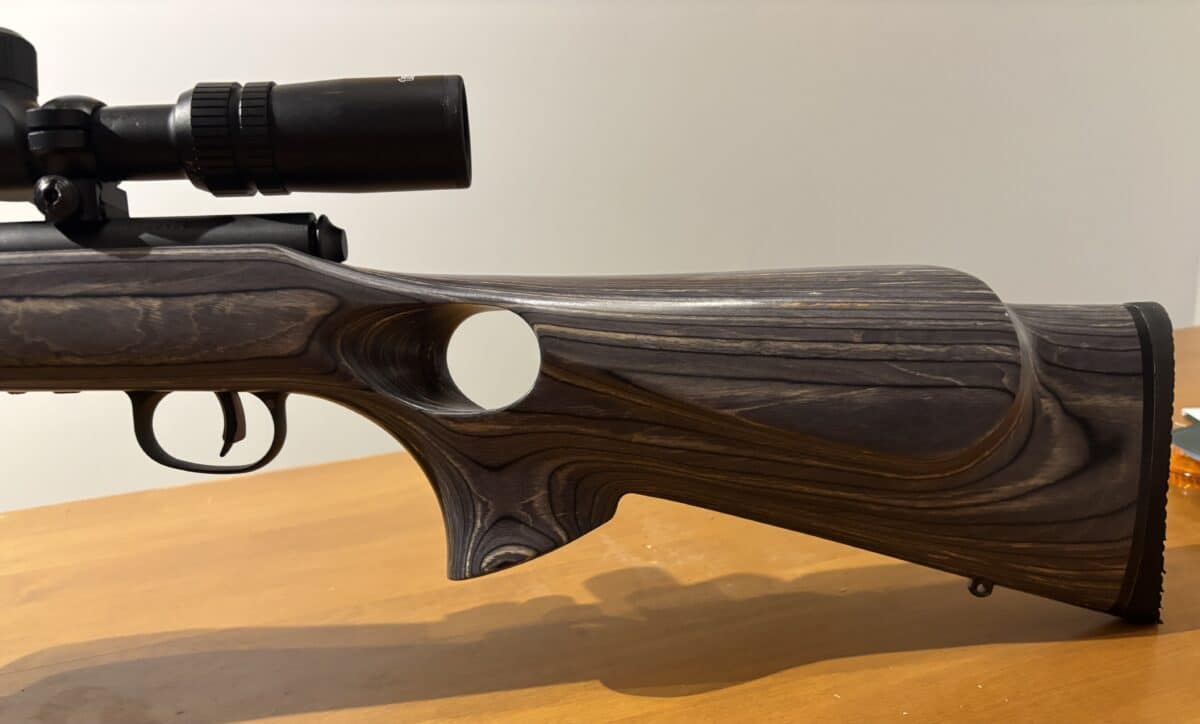 Savage 17 HMR 93r17 canon lourd laminer