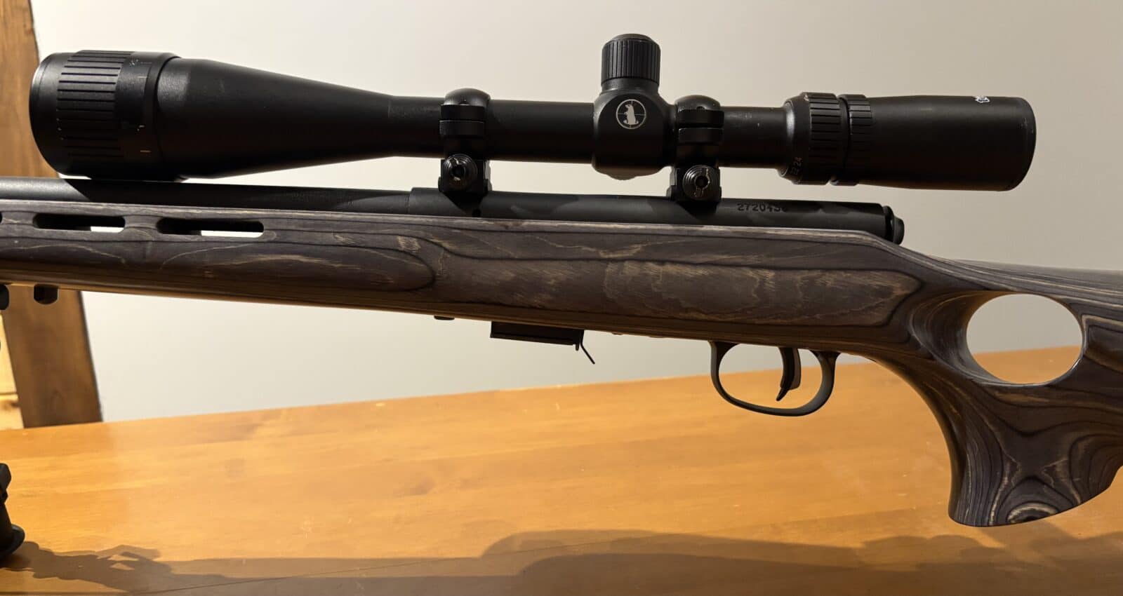 Savage 17 HMR 93r17 canon lourd laminer