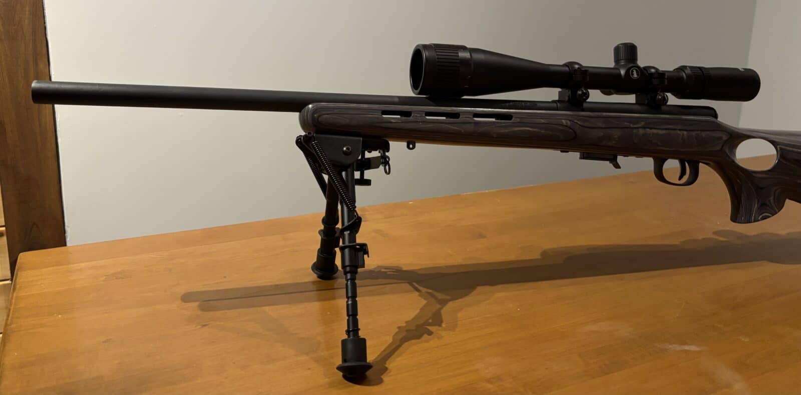 Savage 17 HMR 93r17 canon lourd laminer