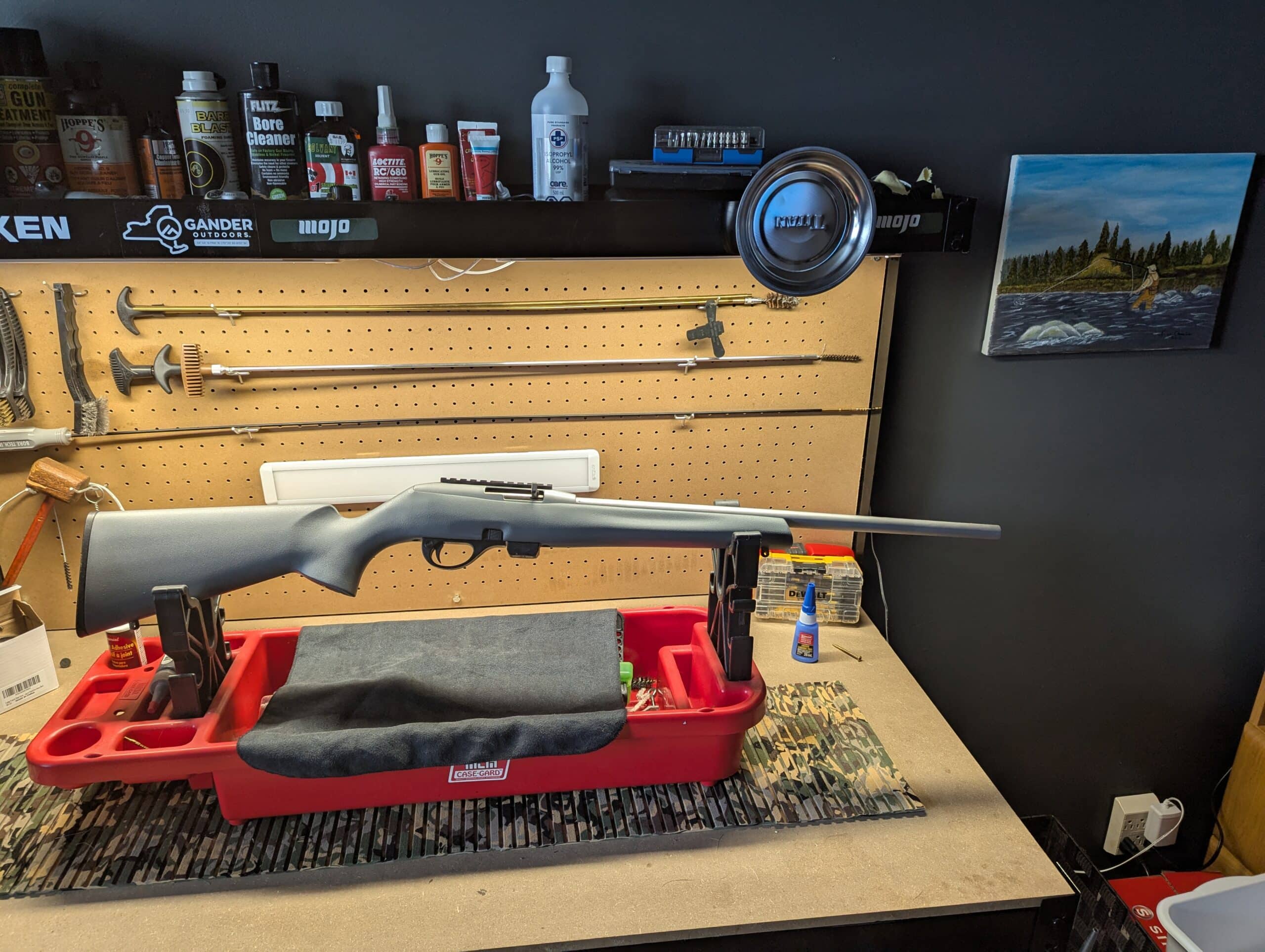 Remington 22 LR