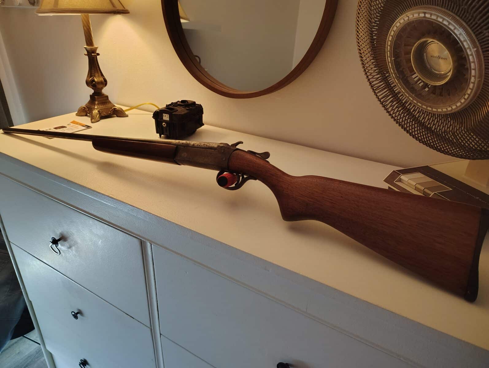 Cooey modèle 84 410 avec des munitions