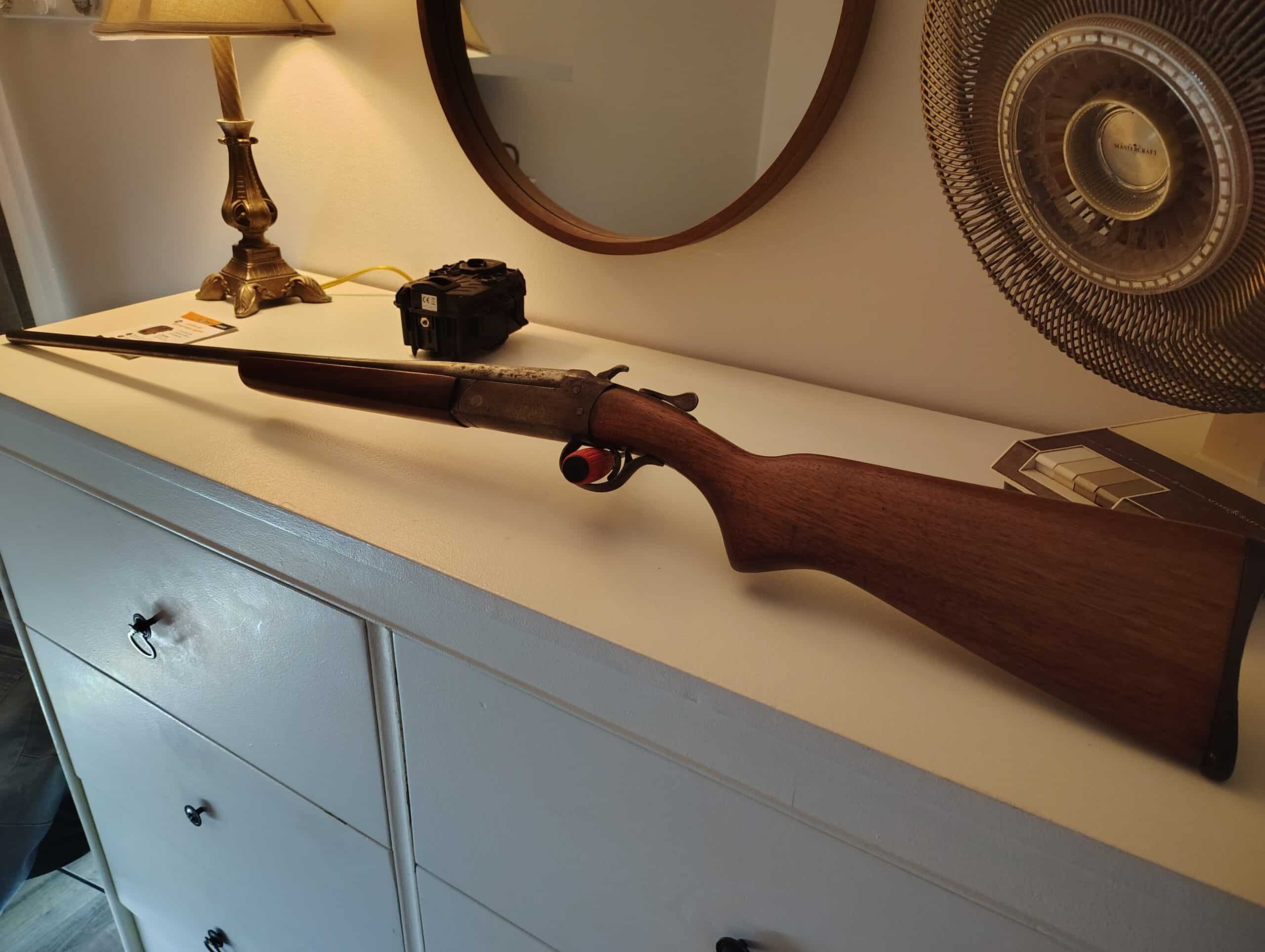 Cooey modèle 84 410 avec des munitions