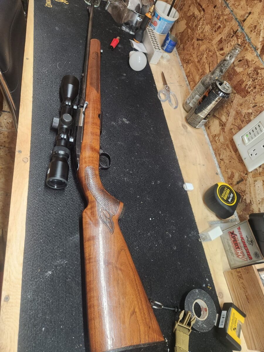 243 modele 100