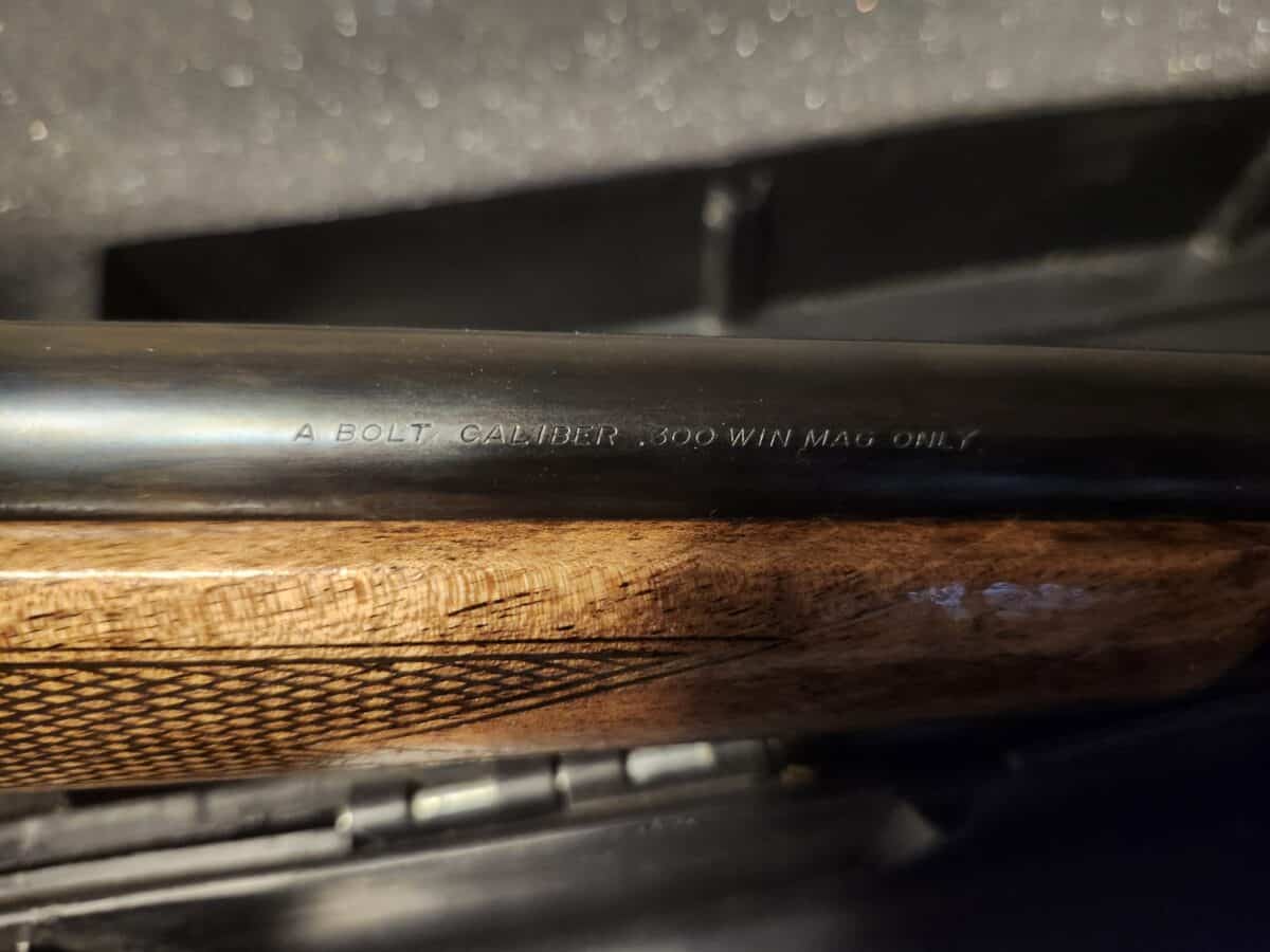 Carabine 300 mag browning