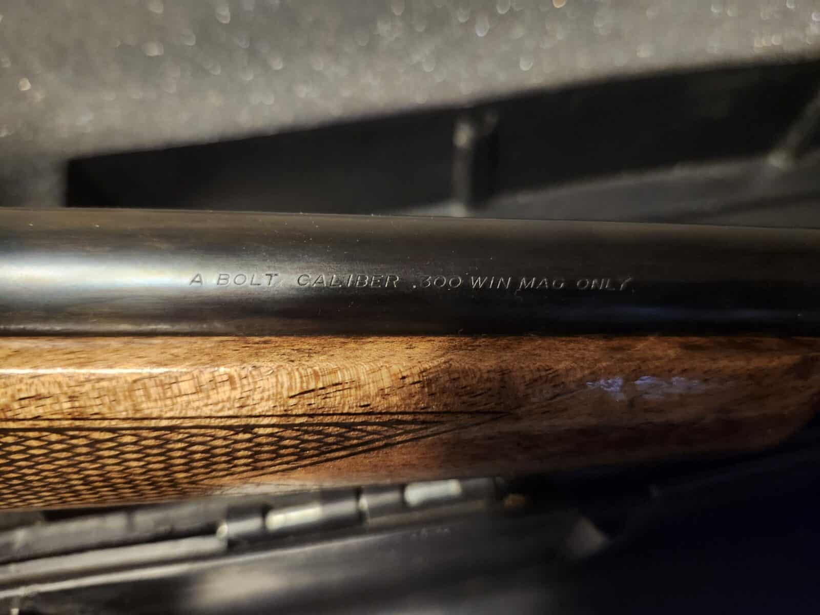 Carabine 300 mag browning