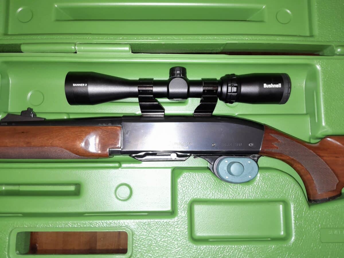 Carabine 30-06 semi auto
