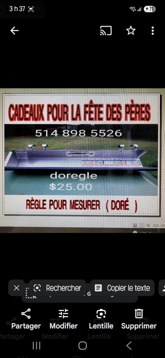 Doregle