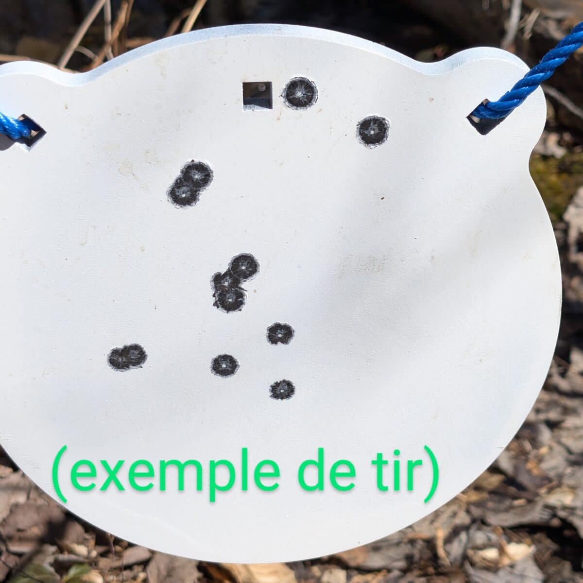 Cible de tir acier 1/2