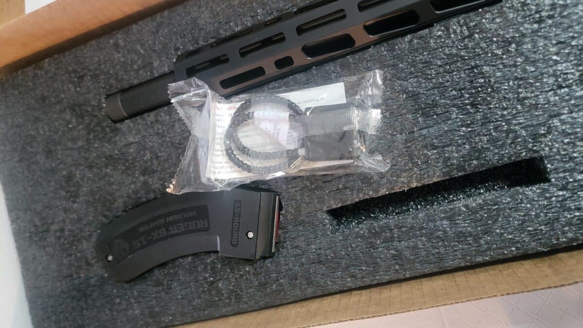 Ruger rimfire precision 22wmr