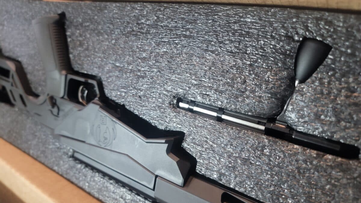 Ruger rimfire precision 22wmr