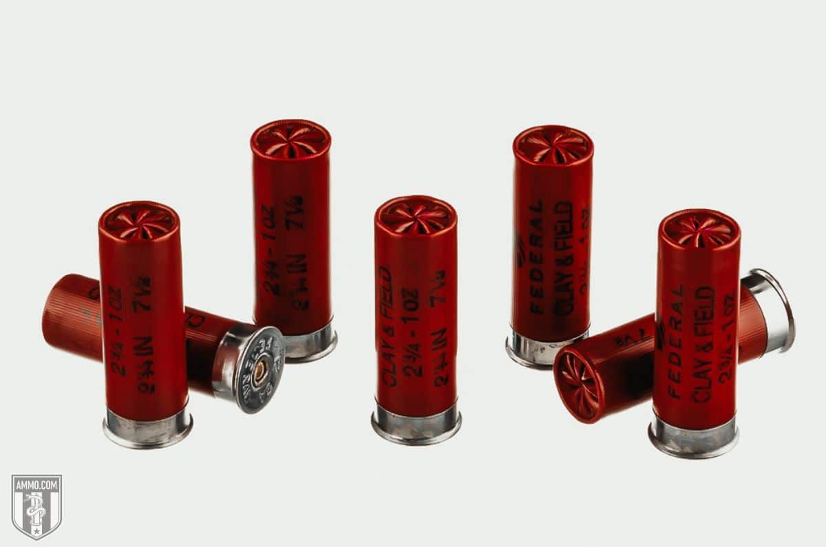 16-gauge-vs-12-gauge-article-image-12-gauge-1