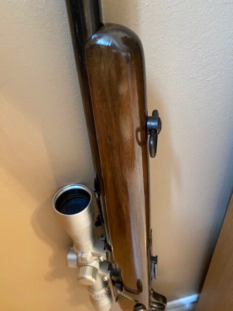 22 magnum-wmr