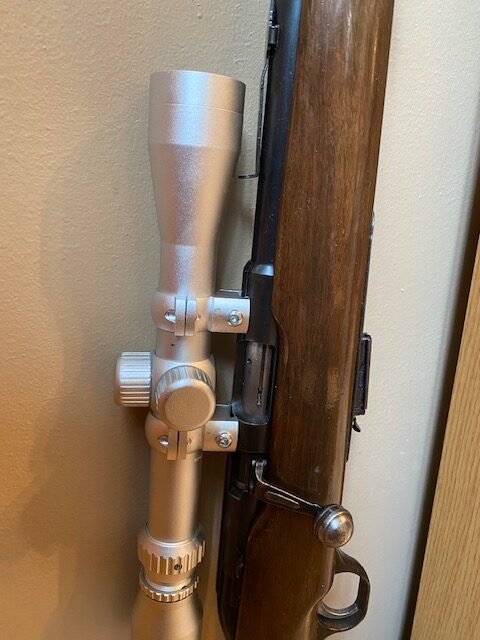 22 magnum-wmr