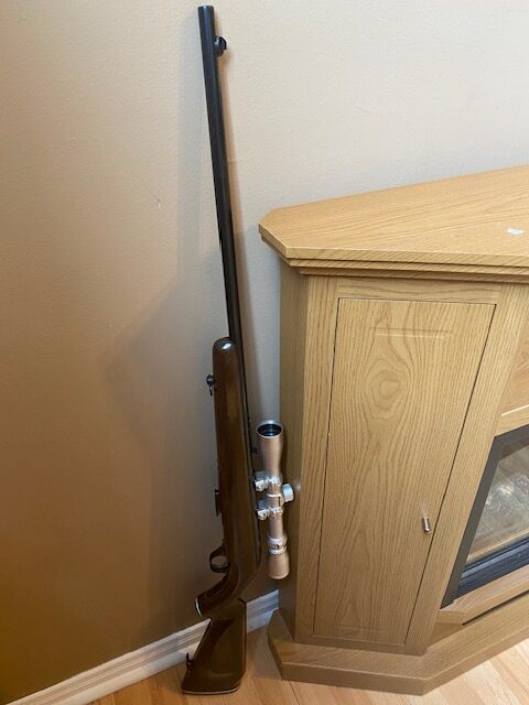22 magnum-wmr