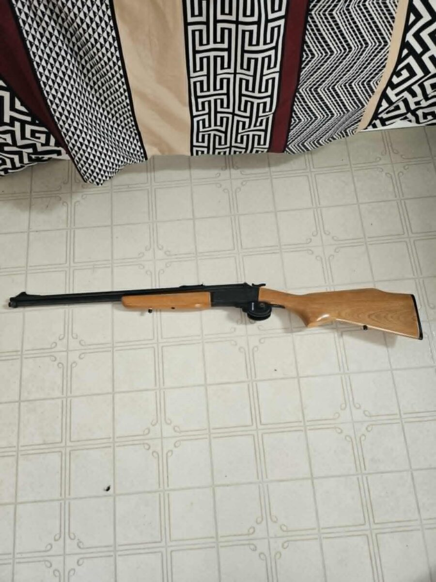 savage 24 series